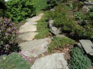 Sustainable Gardens 3